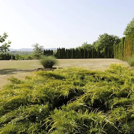 アパート Ibituba Vendeglak